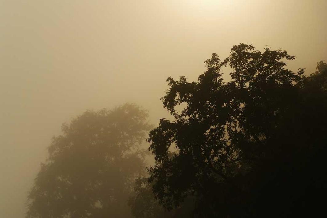 Quis beatae voluptas sit dolores eos